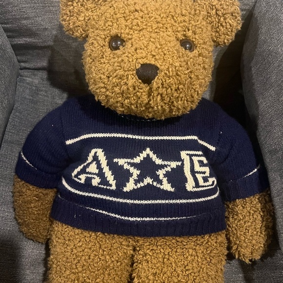 Vintage AEO 1997 20 Year Anniversary Teddy Bear Stuffed Animal - Picture 2 of 4